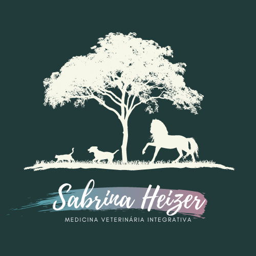 Sabrina Heizer da Silva