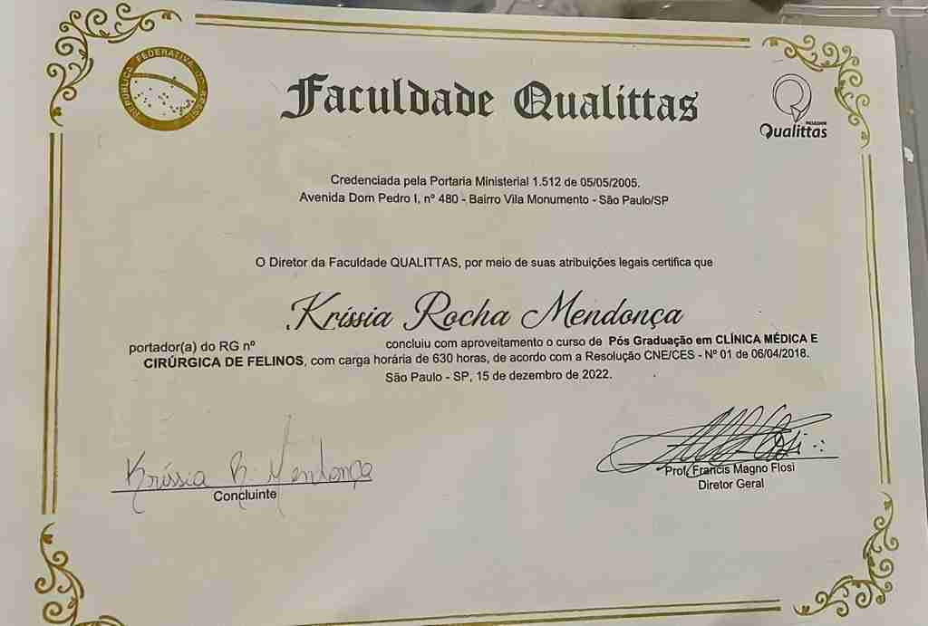 Certificados, mídias, documentos - Kríssia Mendonça