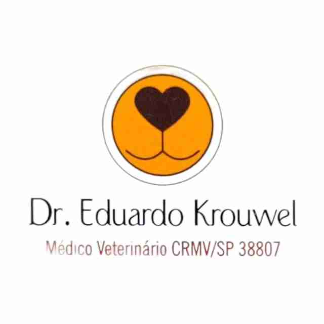 Eduardo Krouwel